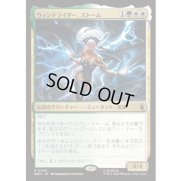 画像1: ウィンドライダー、ストーム/Storm, Windrider (1)