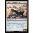 画像1: S.H.I.E.L.D.のヘリキャリア/S.H.I.E.L.D. Helicarrier (1)