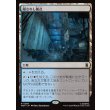 画像1: 隠されし拠点/Hidden Lair (1)