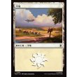 画像1: 平地/Plains (1)