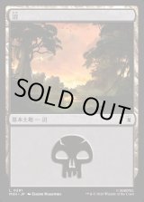 画像: 沼/Swamp