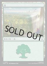 画像: 森/Forest
