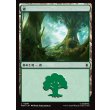 画像1: 森/Forest (1)