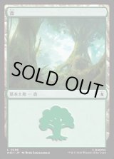 画像: 森/Forest