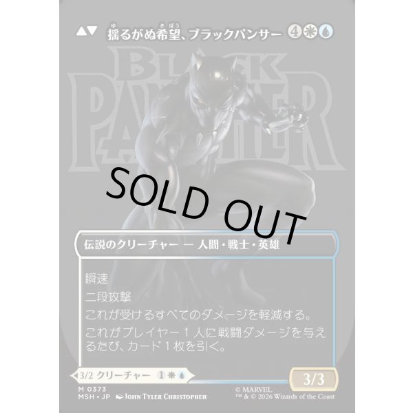 画像2: ティ・チャラ王/King T'Challa (2)