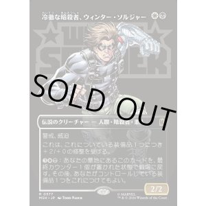 画像: 冷徹な暗殺者、ウィンター・ソルジャー/Winter Soldier, Icy Assassin