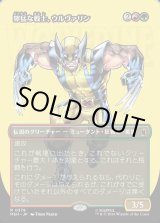 画像: 獰猛な戦士、ウルヴァリン/Wolverine, Fierce Fighter