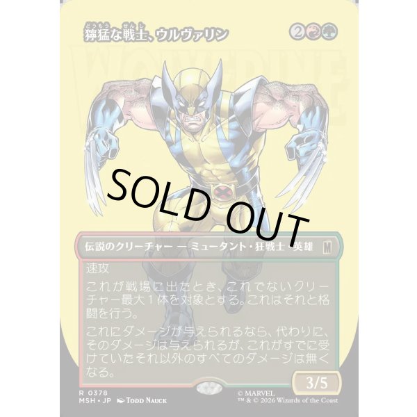 画像1: 獰猛な戦士、ウルヴァリン/Wolverine, Fierce Fighter (1)
