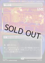 画像: 集いの場/Gathering Place