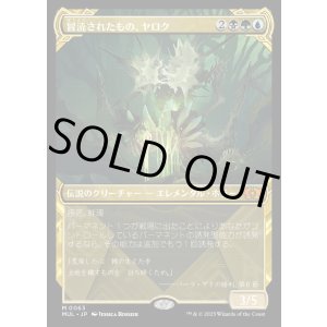 画像: 《冒涜されたもの、ヤロク/Yarok, the Desecrated(0063)》【JPN】[MUL金M]