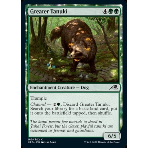 画像2: 大狸/Greater Tanuki (2)