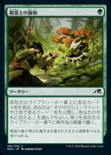 画像: 精霊との融和/Commune with Spirits