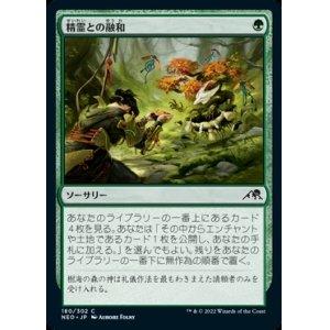画像: 精霊との融和/Commune with Spirits