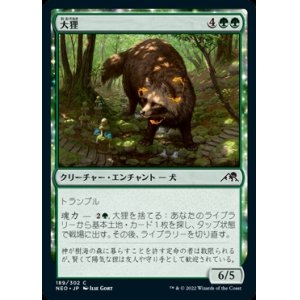 画像: 大狸/Greater Tanuki
