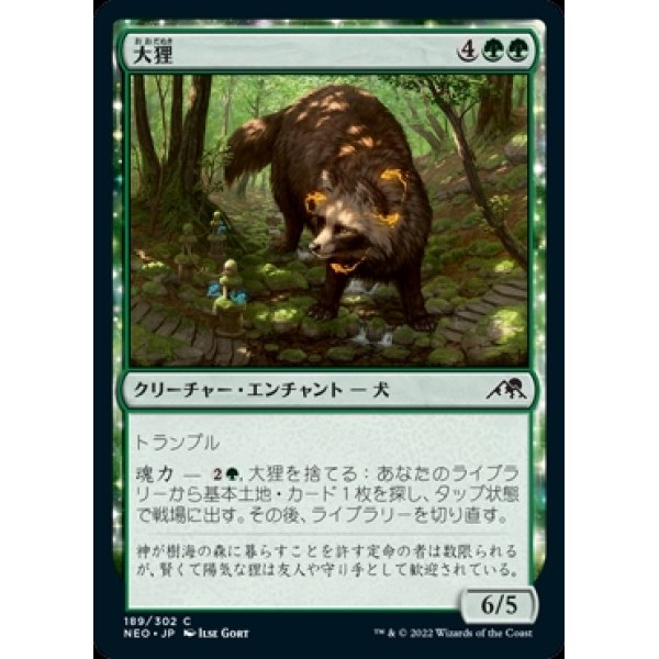 画像1: 大狸/Greater Tanuki (1)