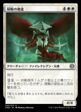 画像: 侵略の使徒/Apostle of Invasion