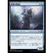画像1: 移植の理論家/Transplant Theorist (1)