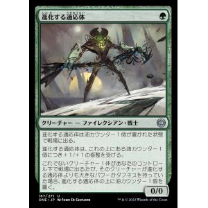 画像: 進化する適応体/Evolving Adaptive