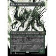 画像1: 進化したスパイノダーム/Evolved Spinoderm (1)