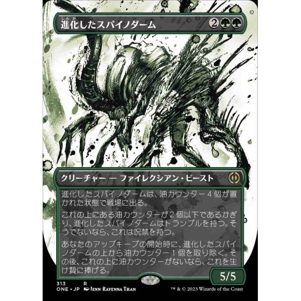 画像1: 進化したスパイノダーム/Evolved Spinoderm (1)