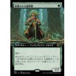 画像1: 敬慕される腐敗僧/Venerated Rotpriest (1)