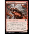 画像1: ドクトカゲの狩猟者/Gila Courser (1)