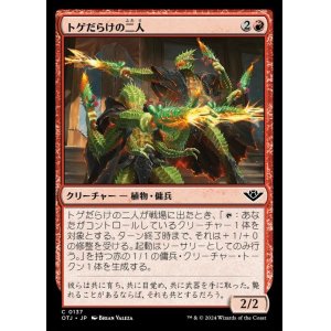 画像: トゲだらけの二人/Prickly Pair