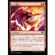 画像1: しっぺ返し/Return the Favor (1)