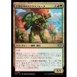 画像1: 百発百中のカクタスフォーク/Cactusfolk Sureshot (1)