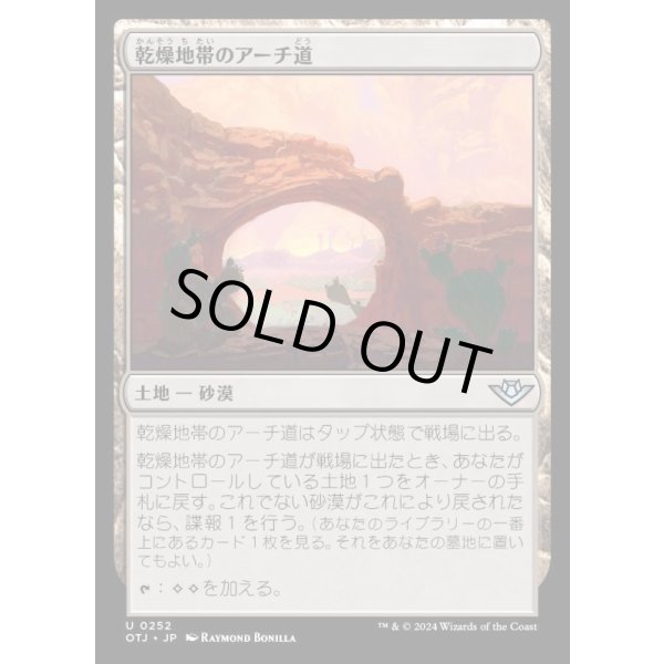 画像1: 乾燥地帯のアーチ道/Arid Archway (1)