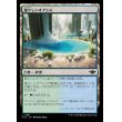 画像1: 瑞々しいオアシス/Lush Oasis (1)