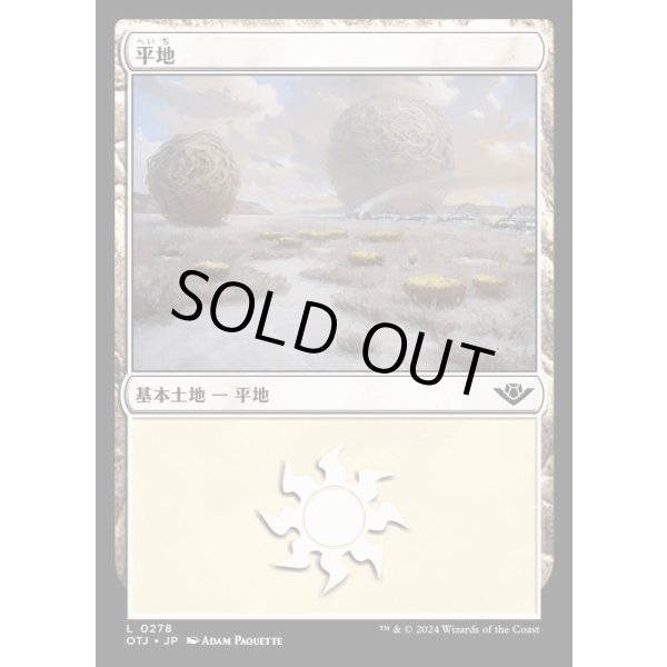 画像1: 平地/Plains (1)