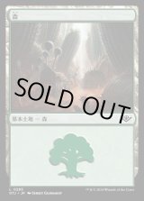 画像: 森/Forest