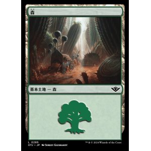 画像: 森/Forest