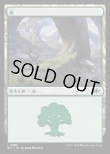 画像: 森/Forest