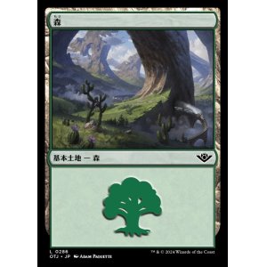 画像: 森/Forest