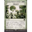 画像1: 害獣の侵入/Pest Infestation (1)