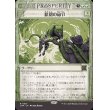 画像1: 原初の命令/Primal Command (1)