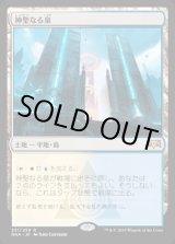 画像: 神聖なる泉/Hallowed Fountain