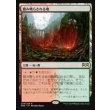 画像1: 踏み鳴らされる地/Stomping Ground (1)