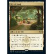 画像1: ジェトミアの庭/Jetmir's Garden (1)