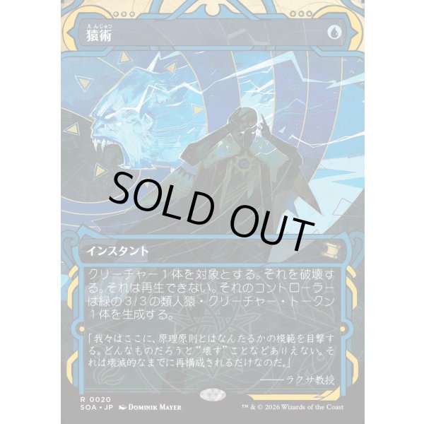 画像1: 猿術/Pongify (1)