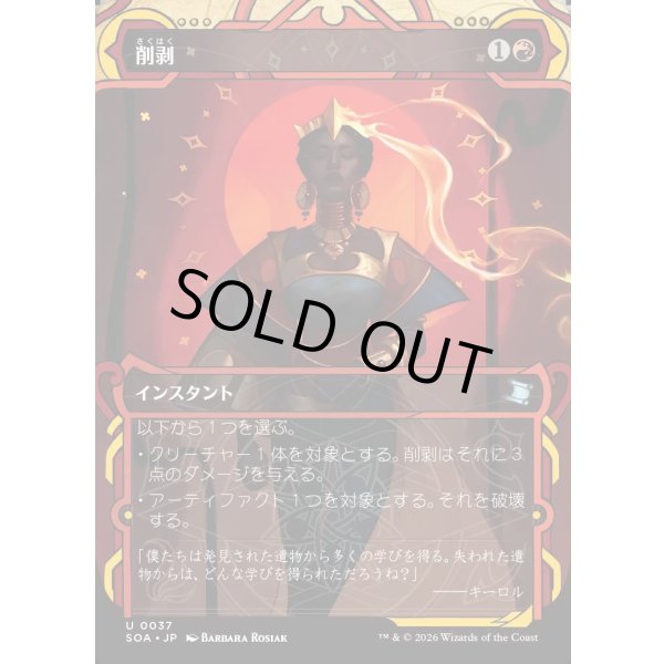 画像1: 削剥/Abrade (1)