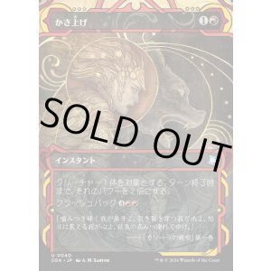 画像: かさ上げ/Bulk Up