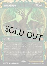 画像: 森林の目覚め/Awaken the Woods