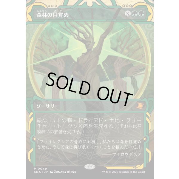 画像1: 森林の目覚め/Awaken the Woods (1)