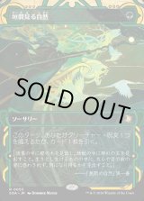 画像: 垣間見る自然/Glimpse of Nature