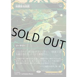 画像: 垣間見る自然/Glimpse of Nature