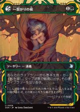 画像: 一繋がりの根/Shared Roots