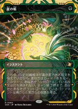 画像: 夏の帳/Veil of Summer
